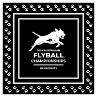 Gazebo Mat 2.4m x 2.4m Flyball Championships 2024